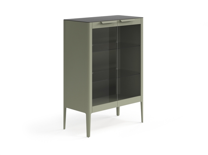 Мебель Витрина Piega. Цвет Матовый оливковый тёмный. Материал Гладкая эмаль. Коллекция Витрина Piega. Фото. Мебель Витрина Piega. Цвет Матовый оливковый тёмный. Материал Гладкая эмаль. Коллекция Витрина Piega. Картинка.